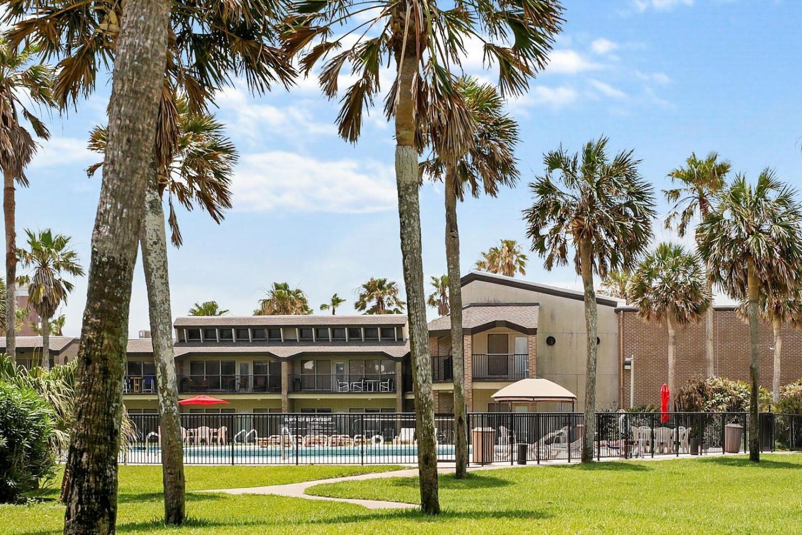 Ground Floor Beachfront Beauty! Steps To The Beach And Pool South Padre Island Room photo